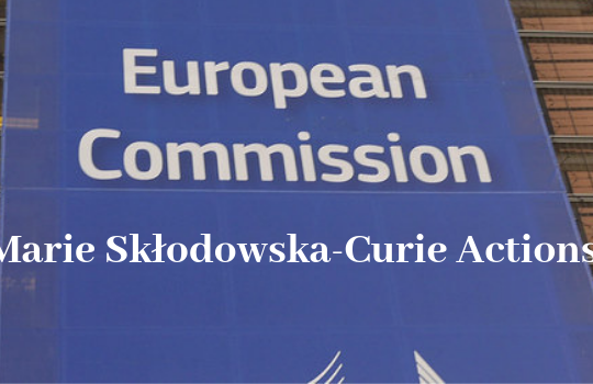 Marie Skłodowska-Curie Actions Individual Fellowship
