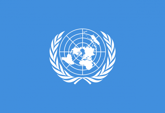 Volunteering opportunity at United Nations